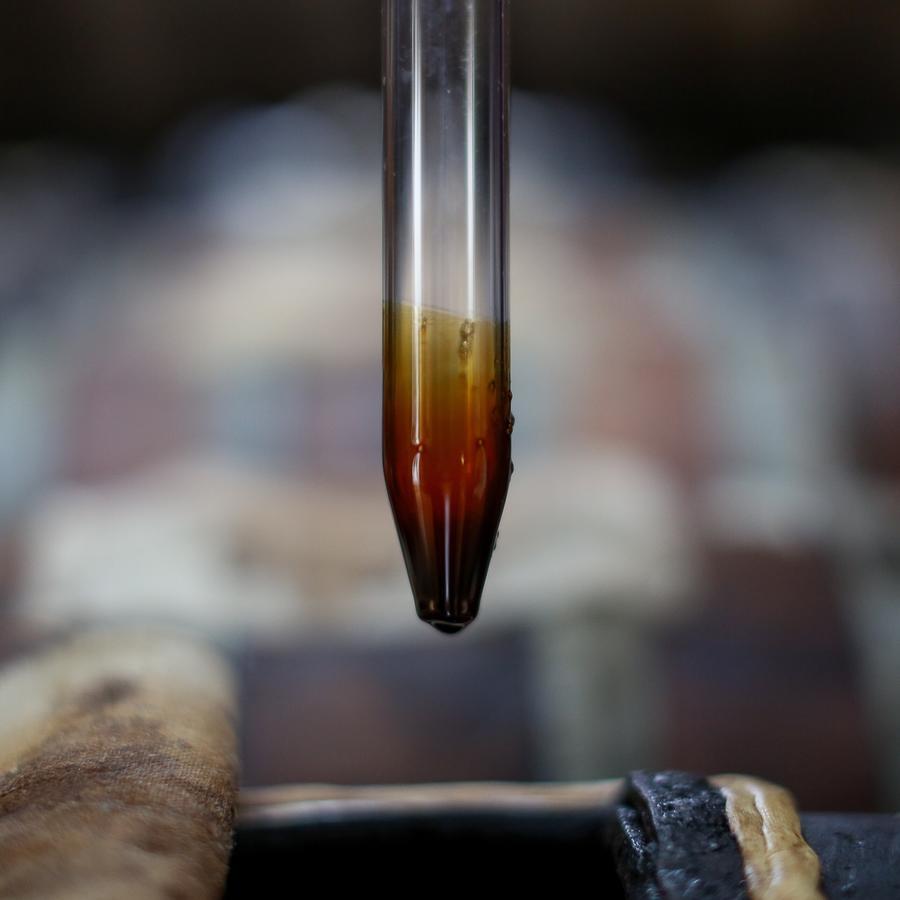 Le Dimore De Il Borgo Del Balsamico Albinea Eksteriør bilde